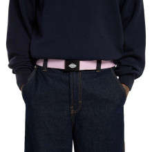 Dickies - Orcutt Webbing Belt