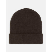 Dickies - Gibsland Beanie