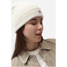 Dickies - Gibsland Beanie