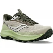 Кросівки Saucony - PEREGRINE 13 GTX  Dust/Umbra