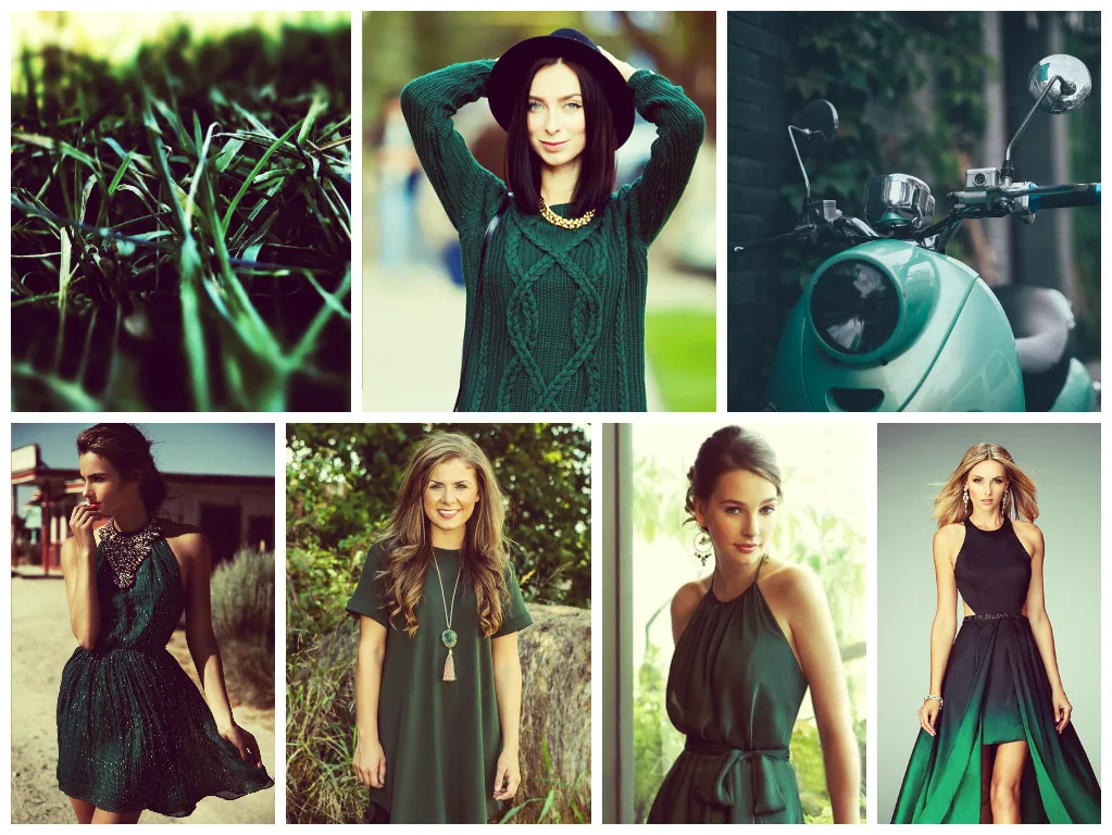 lush_meadow_trend_colour