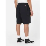 Шорти Dickies - JACKSON CARGO SHORTS - Зображення 5
