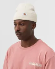 Dickies - Gibsland Beanie - Зображення 7
