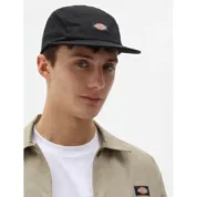Кепка Dickies Albertville Baseball Cap Black - Зображення 2