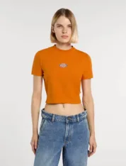 Dickies - Maple Valley mid weight Pumpkin Spice - Зображення 3