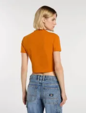 Dickies - Maple Valley mid weight Pumpkin Spice - Зображення 4