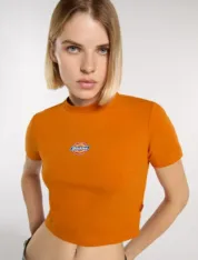 Dickies - Maple Valley mid weight Pumpkin Spice - Зображення 5