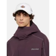 Кепка Dickies Hanston Trucker White Cloud - Зображення 3