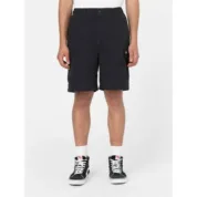 Шорти Dickies - JACKSON CARGO SHORTS - Зображення 2