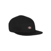 Кепка Dickies Albertville Baseball Cap Black