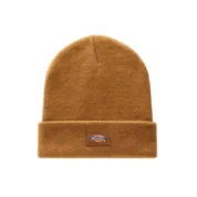 Dickies - Gibsland Beanie