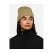 Dickies - Gibsland Beanie - Зображення 2