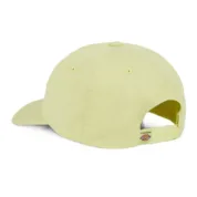 Кепка Dickies Hardwick Pale Green - Зображення 4