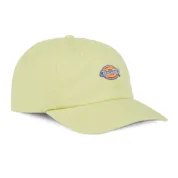 Кепка Dickies Hardwick Pale Green