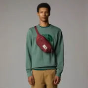 Сумка The North Face - Berkeley Lumbar Sumac / Alpine Plum - Зображення 4